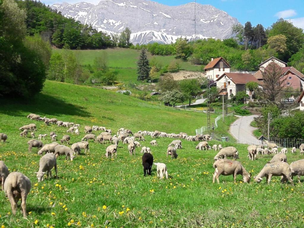 Les Clarines Perceneige - Chambre D'Hotes Vue Sur Montagne & Spa Saint-Jacques-en-Valgodemard Buitenkant foto